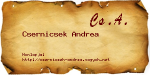 Csernicsek Andrea névjegykártya