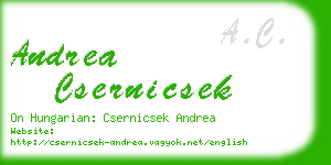 andrea csernicsek business card